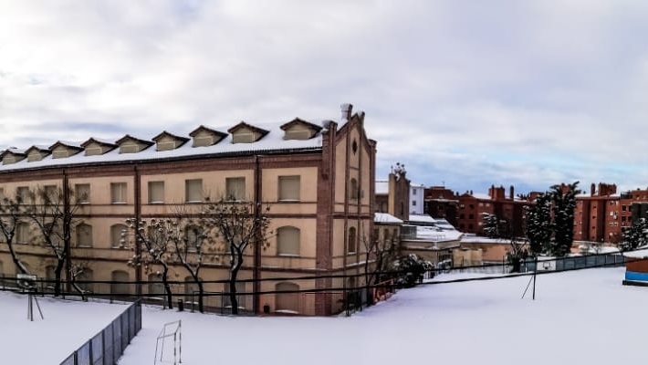 Vedruna
