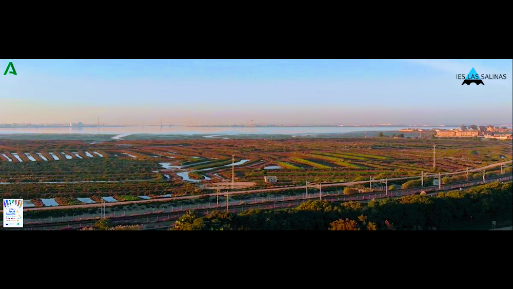 Las Salinas