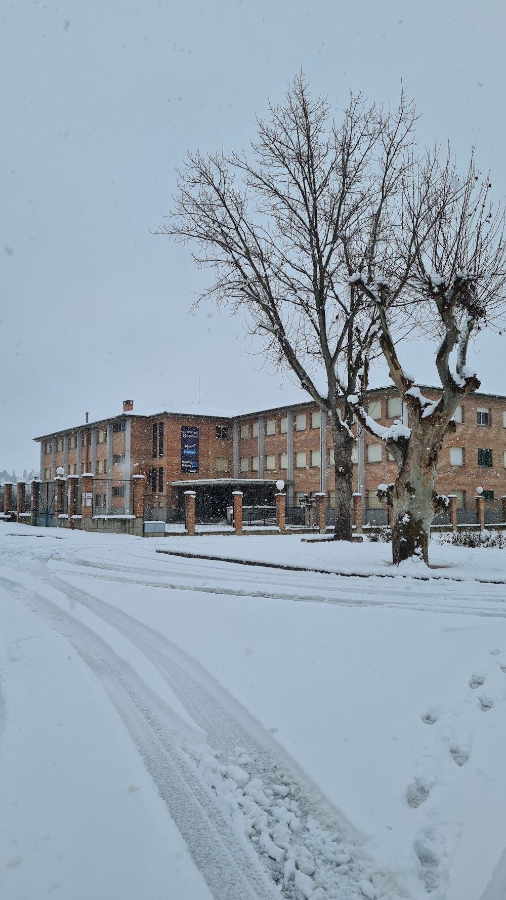 Monegros-gaspar Lax