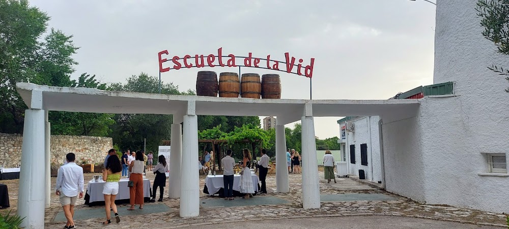 Escuela De La Vid