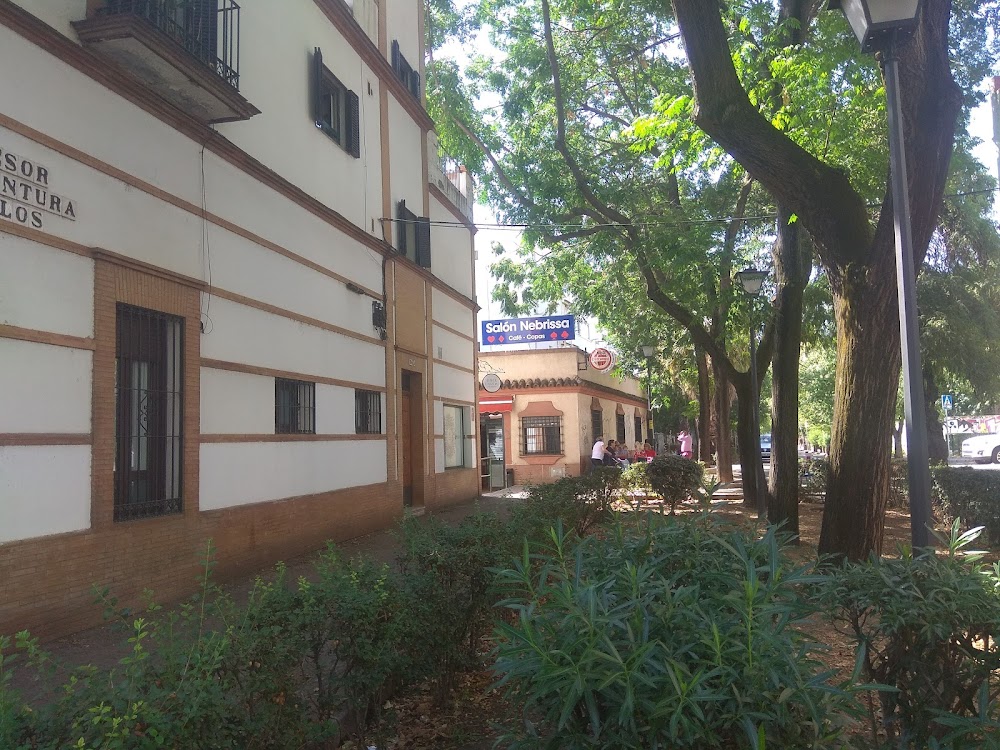 Nervión
