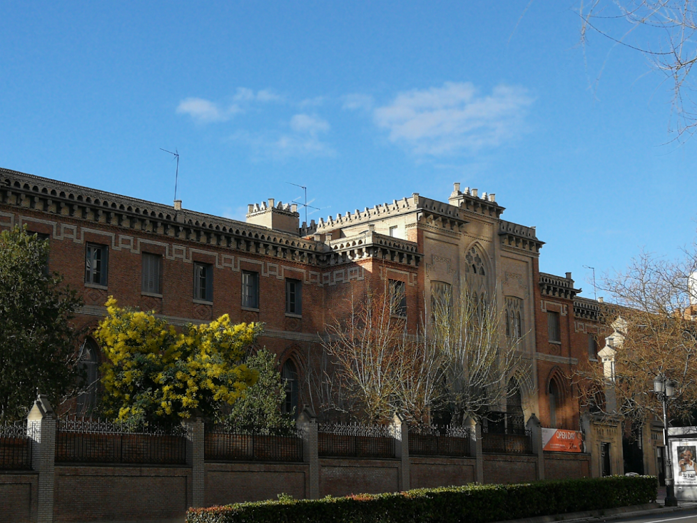 Colegio Internacional Nicoli