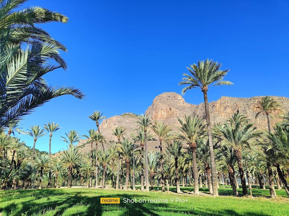 El Palmeral