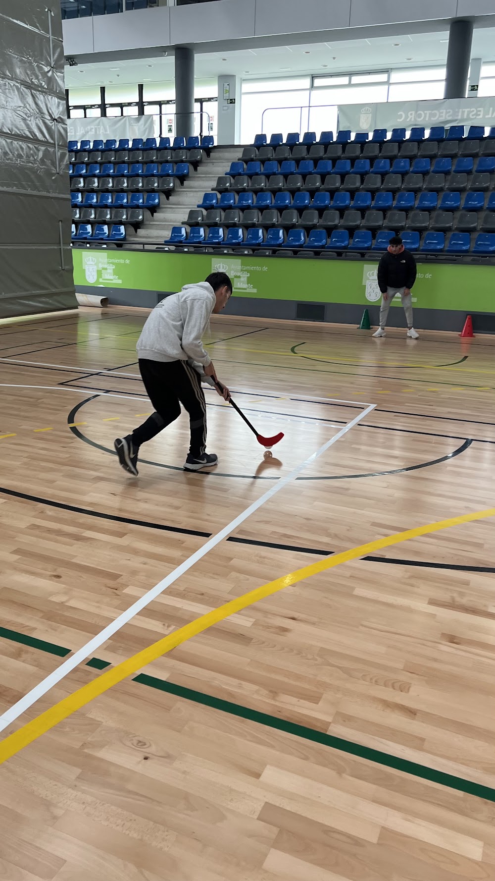 Centro De Estudios Profesionales Ii Cve-boadilla