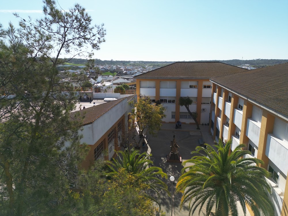 Catedrático Pulido Rubio