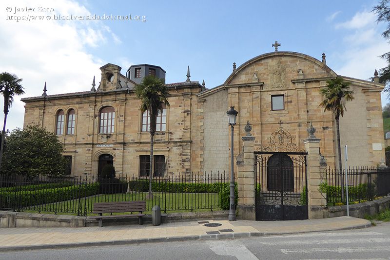Calasanz