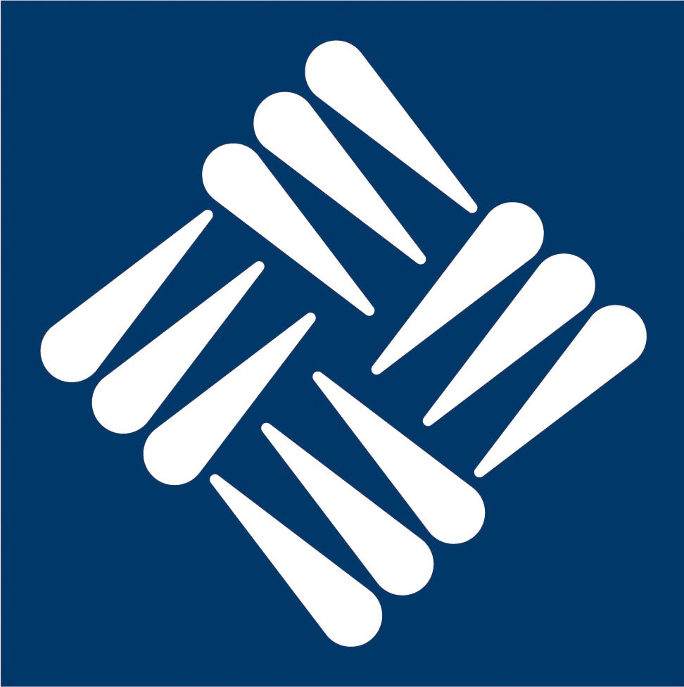 UFV Universidad Francisco de Vitoria logo